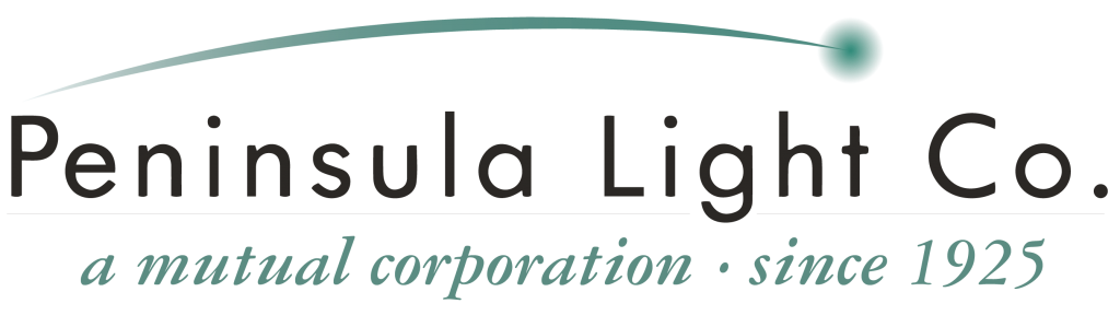Pen Light Company logo